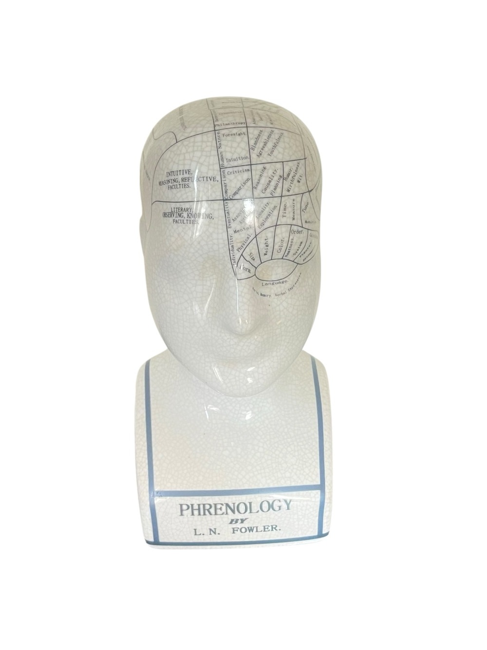 Phrenology head bust LN Fowler medical psychology, 9 inch display